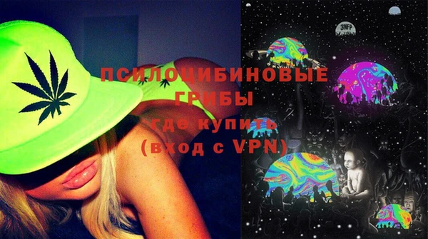 PSILOCYBIN Бронницы